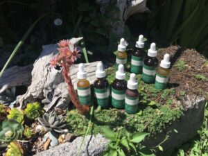 Cruelty-free and environment-friendly infused oils