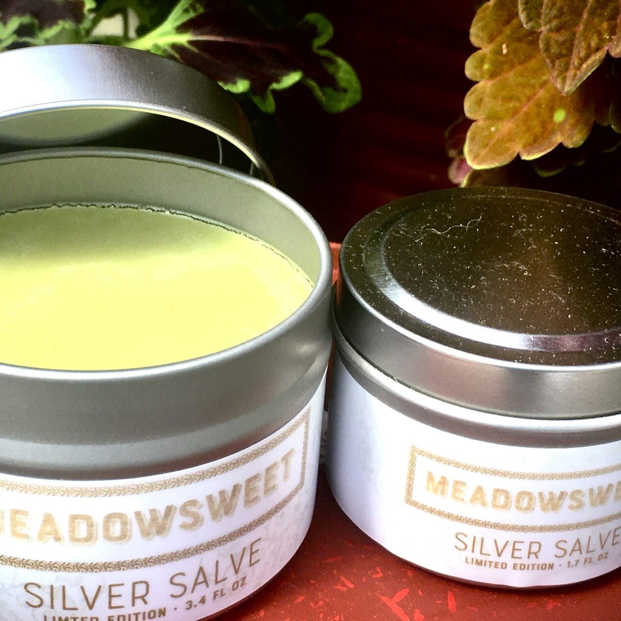 Silver Salve both sizes 2