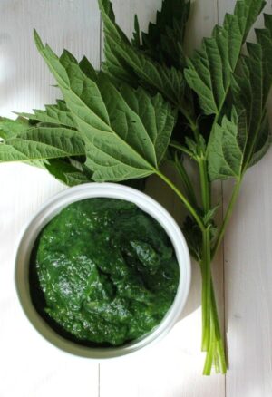 Nettles pesto