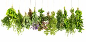 Bundle of Herbs hang in front of a white background